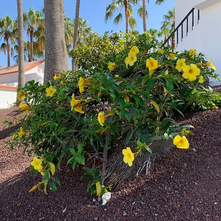 Aminas Ferienwohnung Fuerteventura *